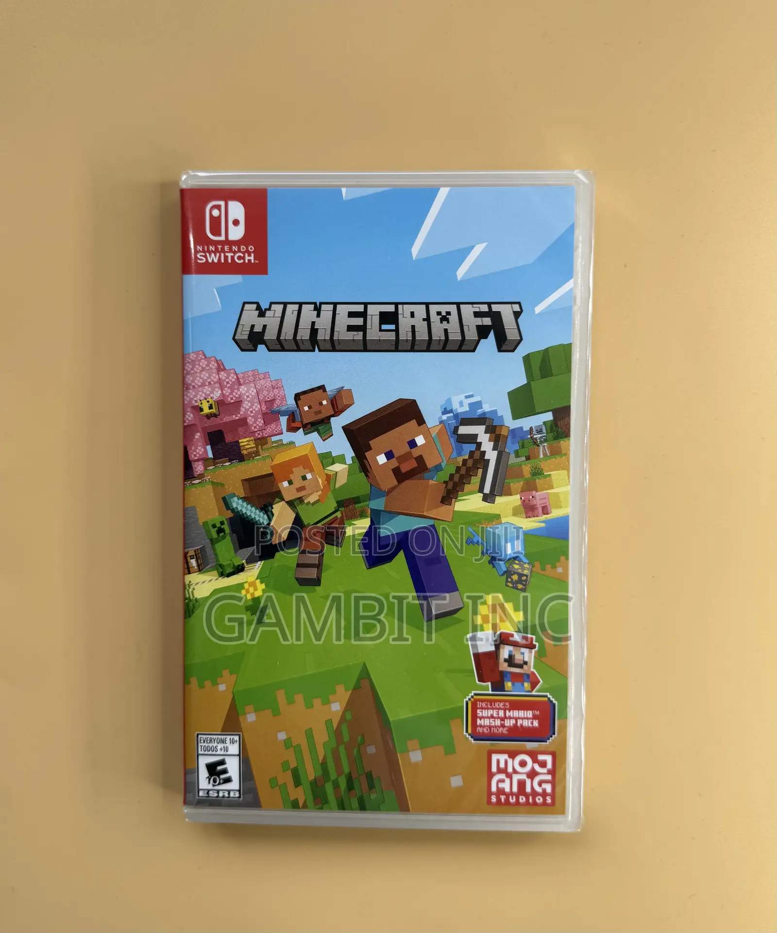 Nintendo Switch Minecraft