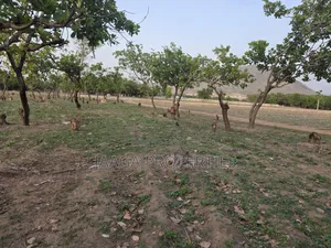 Karsana North Commercial Plot for Sale