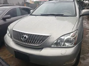 Lexus RX 2008 Gray