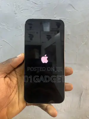 Apple iPhone 15 Pro Max 256 GB Gray