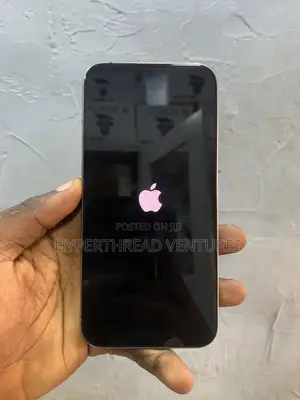 Apple iPhone 15 Pro Max 256 GB Gray