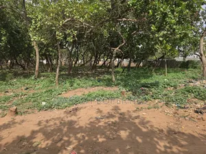 Gaduwa Residential Plot For