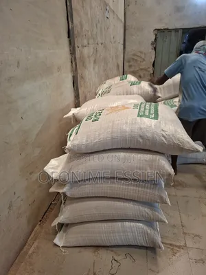 Quality Rice Bran