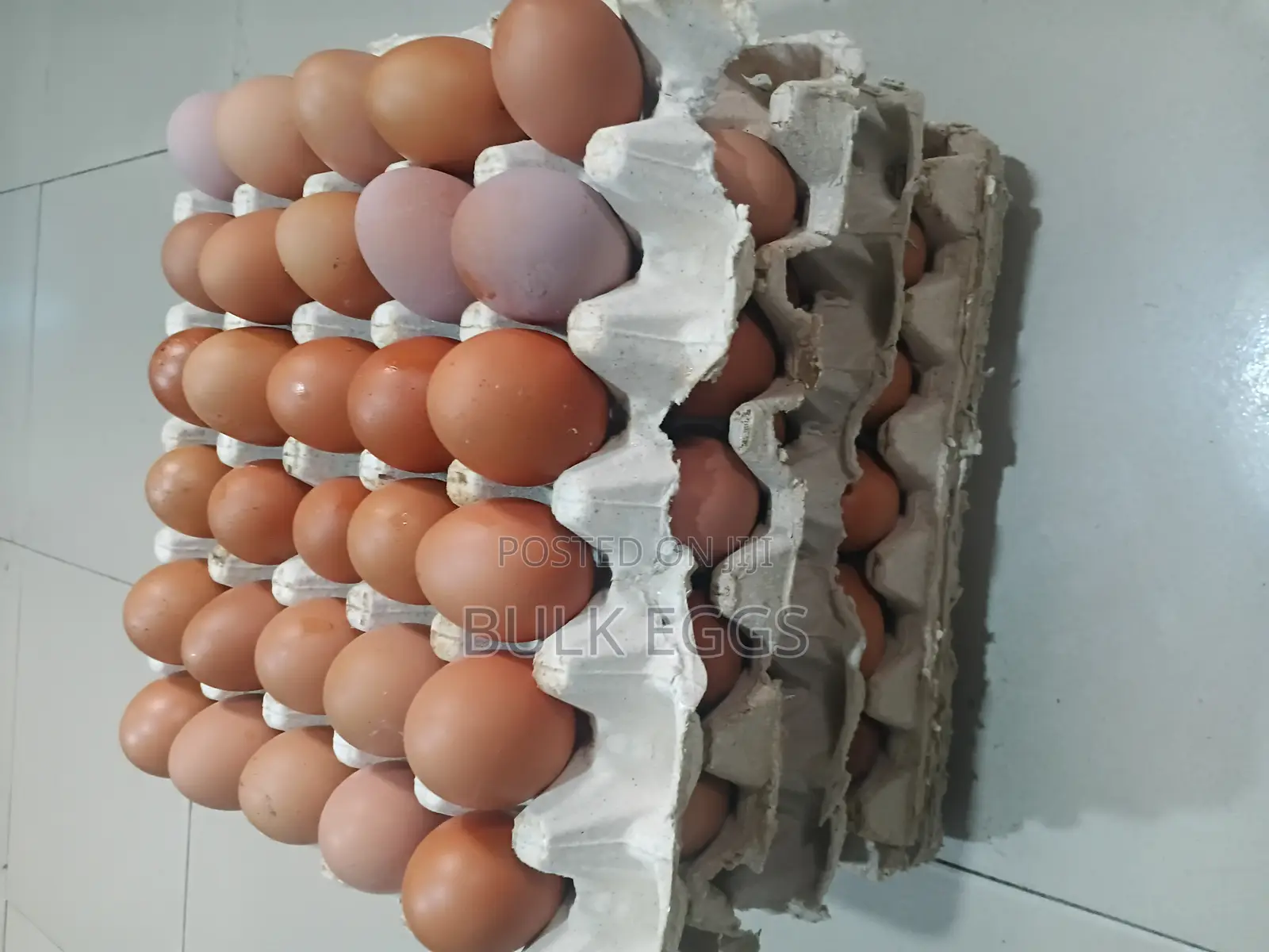 Farm Fresh Eggs for Sale