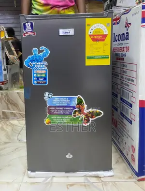 100l Icona Fridge