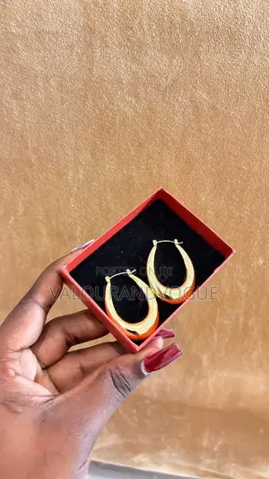 Steel Earring