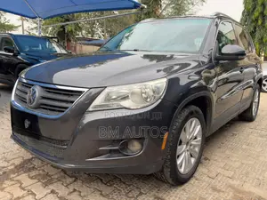 Volkswagen Tiguan 2.0 SE 2009 Gray