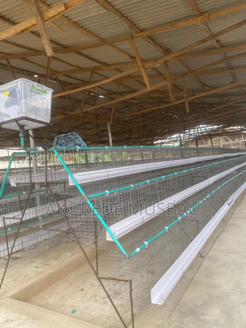 Wire Mesh For Cage