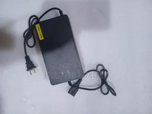 Electric Bike Charger 48v