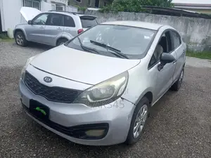 Kia Rio 2013 Gray