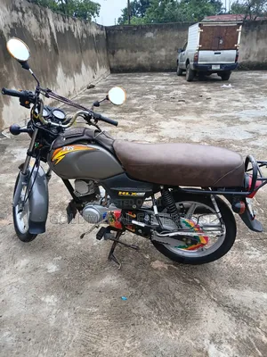TVS HLX Plus ES 2025 Gray