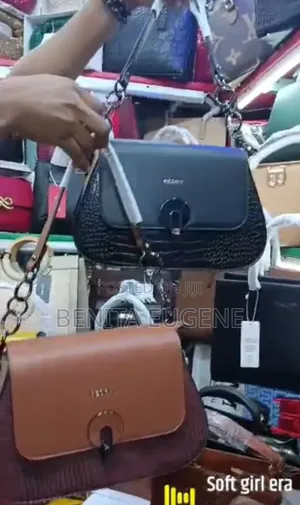 Classy Bags for Every Vibe