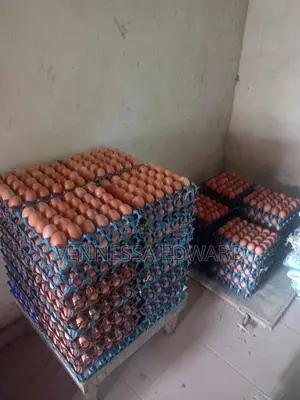 Fresh Medium-sized Chicken Eggs – 50g Each (1.5kg Per Crate Of 30 Egg)