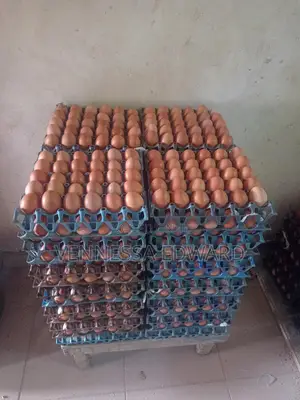 Fresh Medium-sized Chicken Eggs – 50g Each (1.5kg Per Crate Of 30 Egg)
