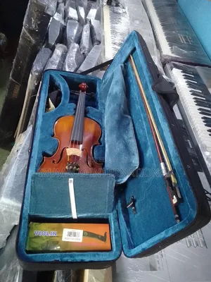 4/4 Full Size Violin – Clean Sound Complete Set