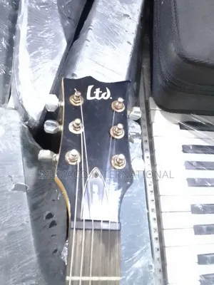 Esp LTD Viper-10 Lead Electric Guitar – Clean Sound Solid Build