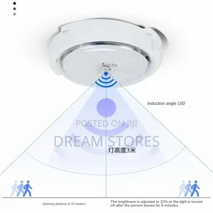 Indoor Solar Ceiling Light