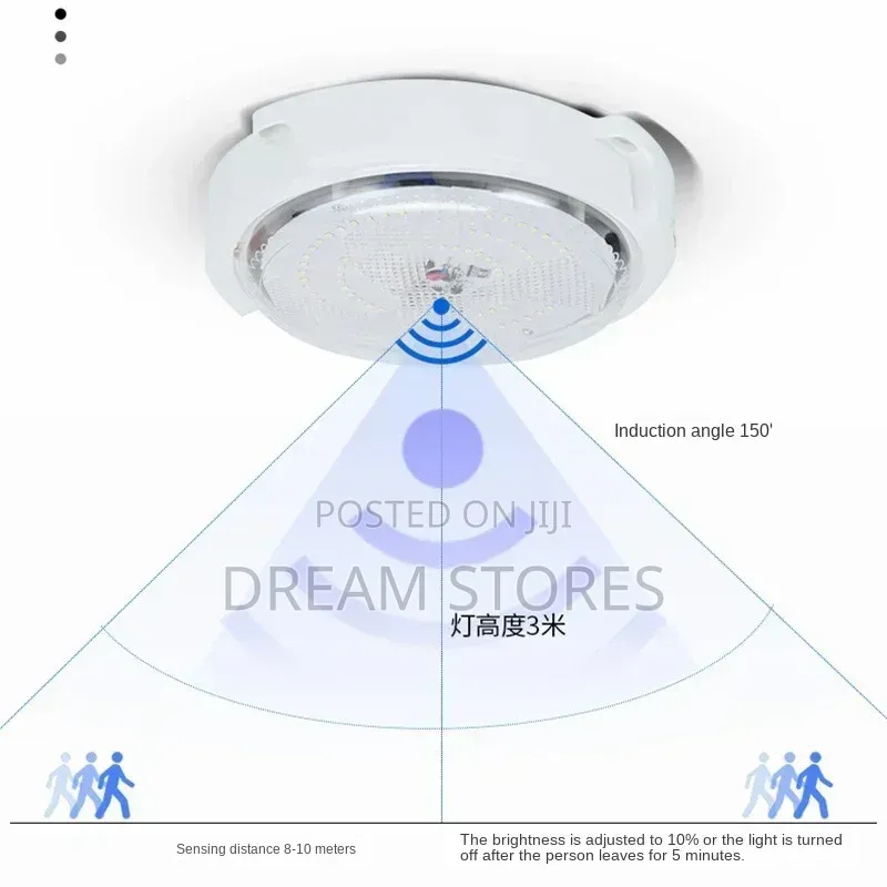 Indoor Solar Ceiling Light