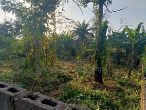 60:120 Full Plot of Land for Sale