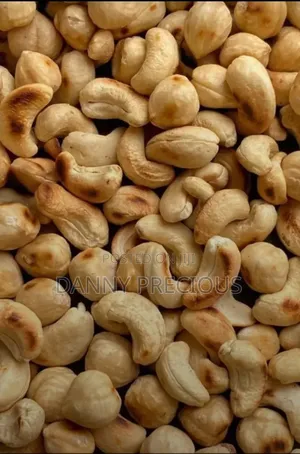Fresh Cashew Nuts Available