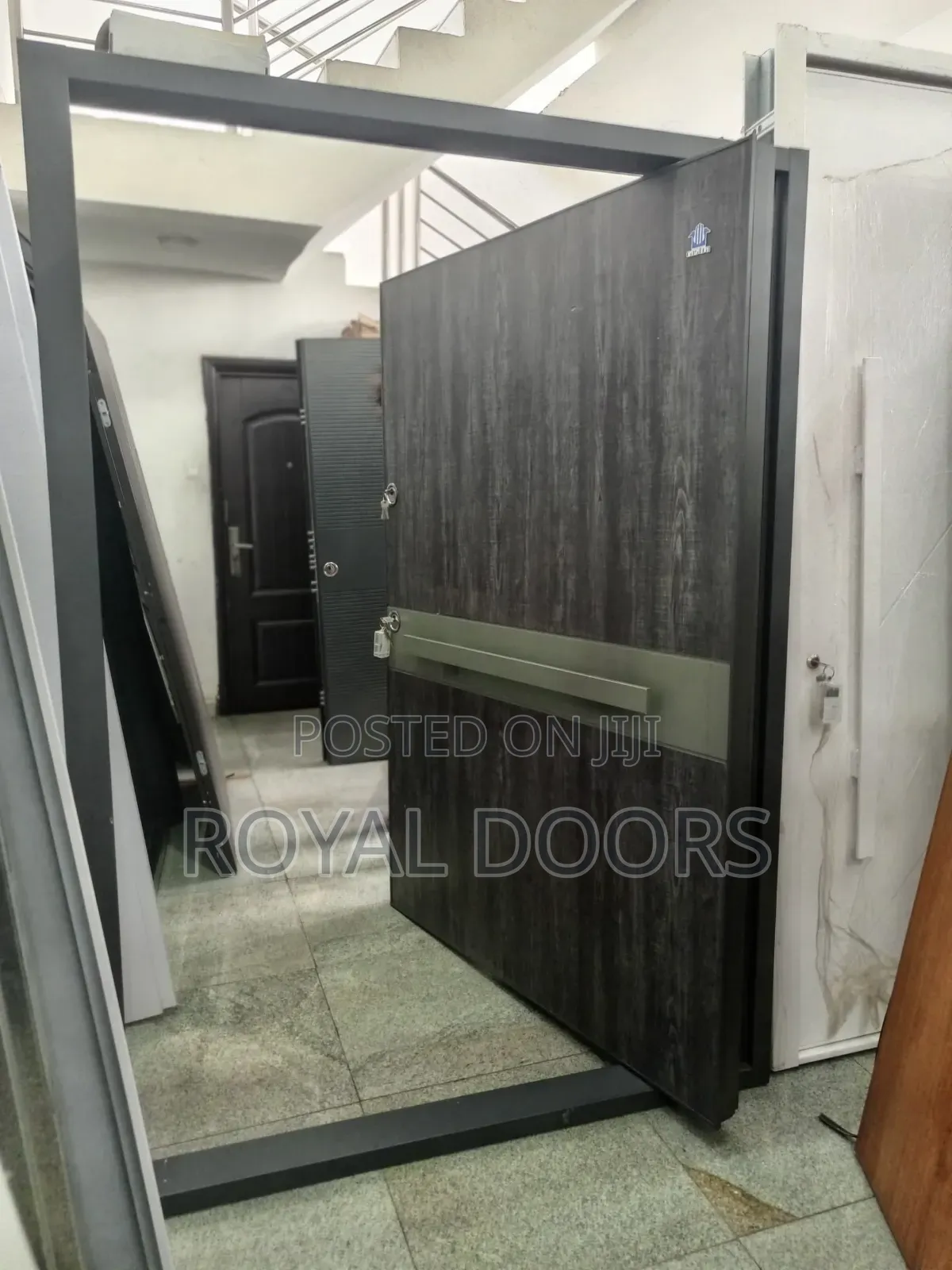 High-End Castra Pivot Door