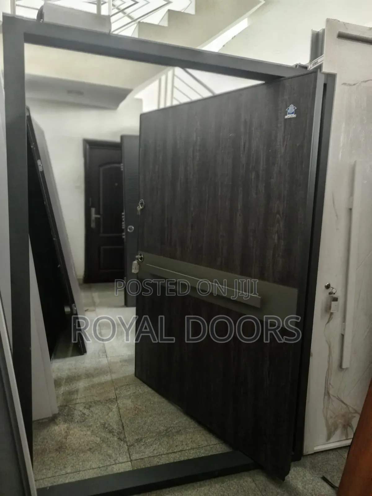 High-End Castra Pivot Door