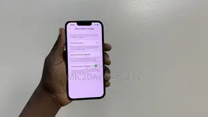 Apple iPhone 13 Pro 256 GB Gray