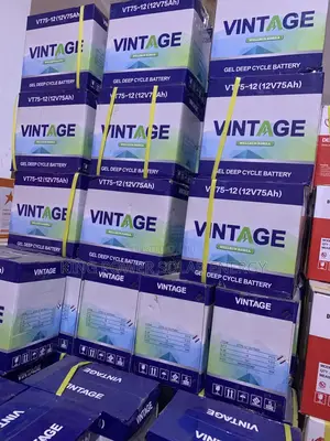 Vintage 75ah/12v Deep Cycle Batteries