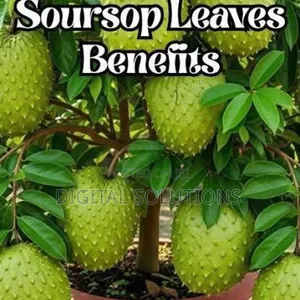 Get Herbal Treatment for Cacinoma, Prostate and Tumor.