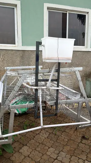 3-Tier Poultry Cage With Automatic Water System (Used- Strong Good)