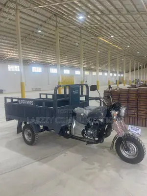 New Tricycle 2025 Gray