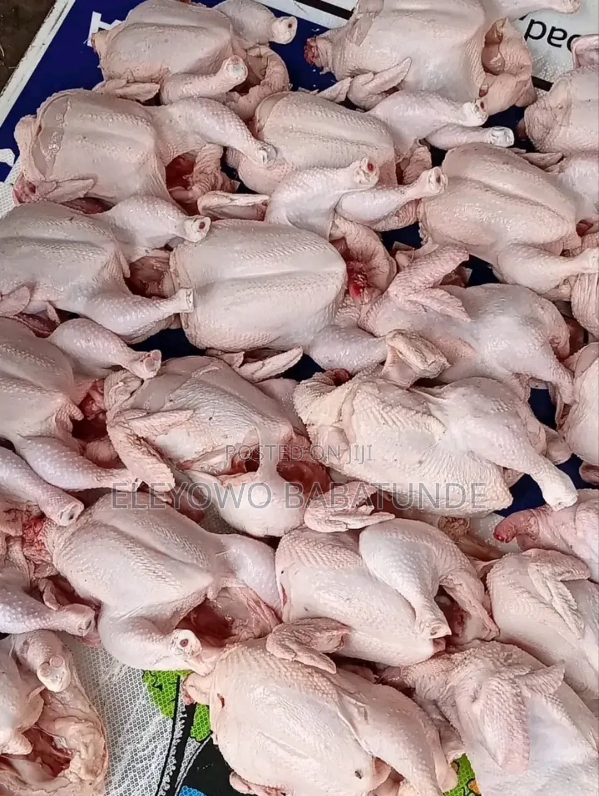 Frozen Chicken