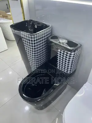 Executive Eagle Toilet With Standing Basin