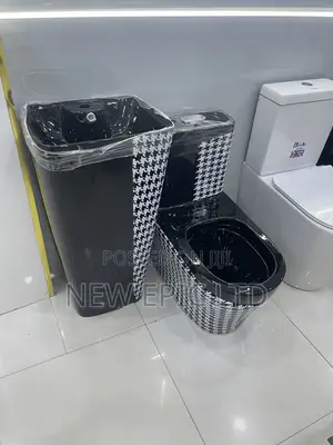 Executive Eagle Toilet With Standing Basin