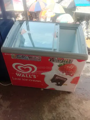 Chiller Deep Freezer for Selling of Ice Cream and Drinks