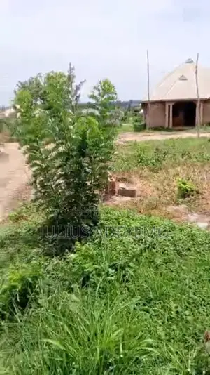 Half Plot of Land, Measuring 100 by 25