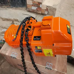 Electric Chain Hoist 1000kg/1ton