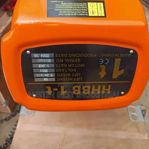 Electric Chain Hoist 1000kg/1ton