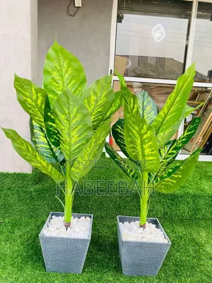 Flower Vases and Decorations