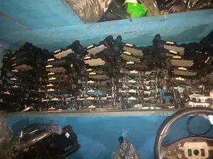 Mercedes Benz Vgs,Brake, Hand Brakes,Accelerate Shoe Cover Available