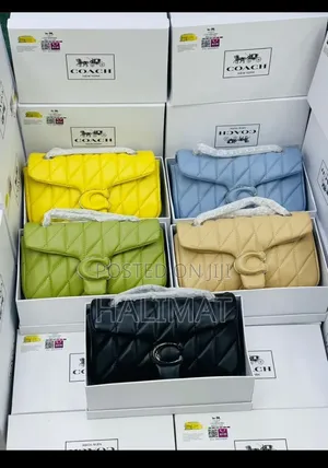 Tabby Coach Bag