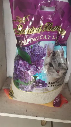 Cat Litter Sand
