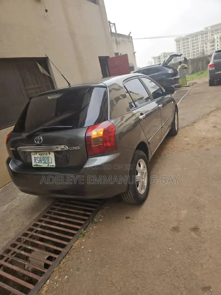 Toyota Corolla 2004 Gray