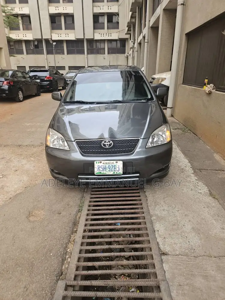 Toyota Corolla 2004 Gray