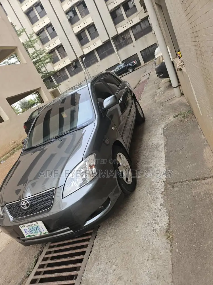 Toyota Corolla 2004 Gray