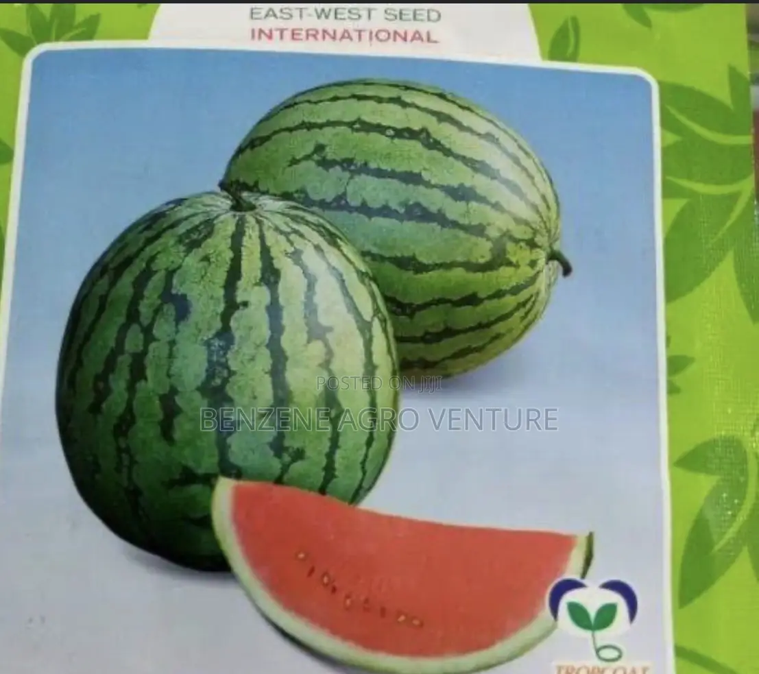 Watermellon Seed
