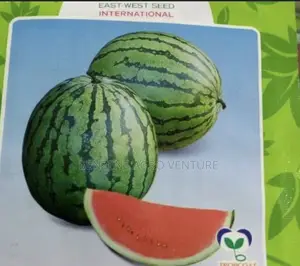 Watermellon Seed