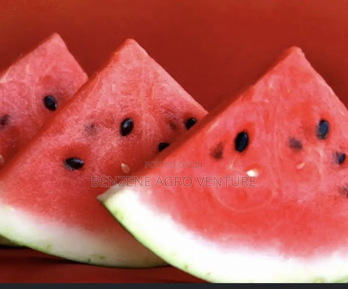 Watermellon Seed
