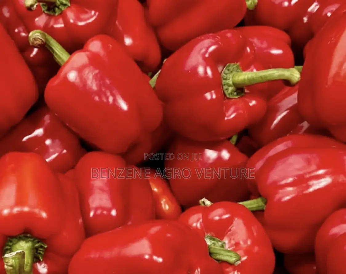 Peper Seeds