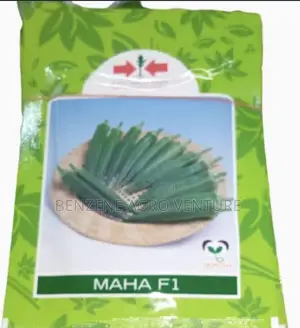 Hybrid Okro Seed